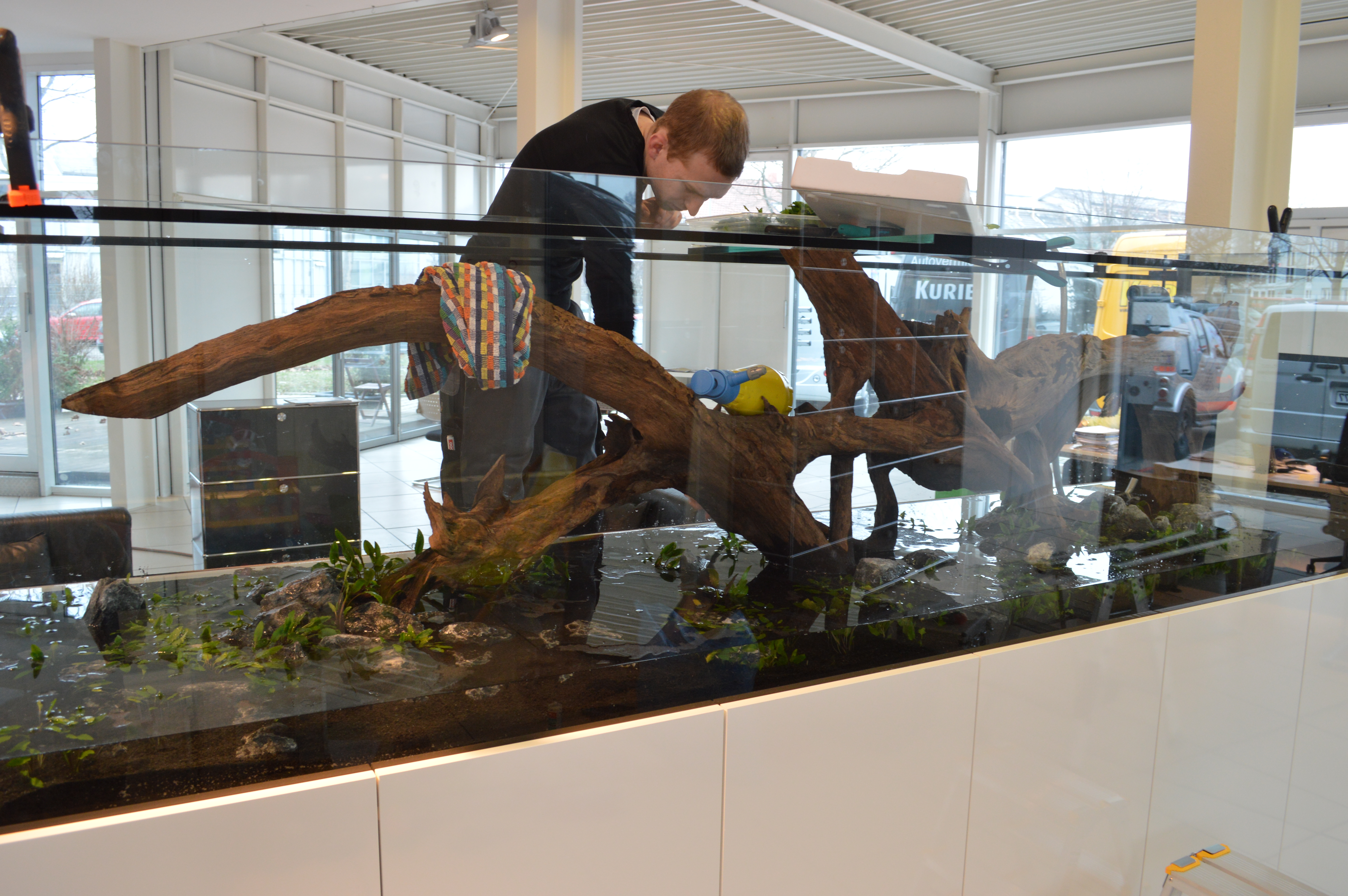 Aquarienbau