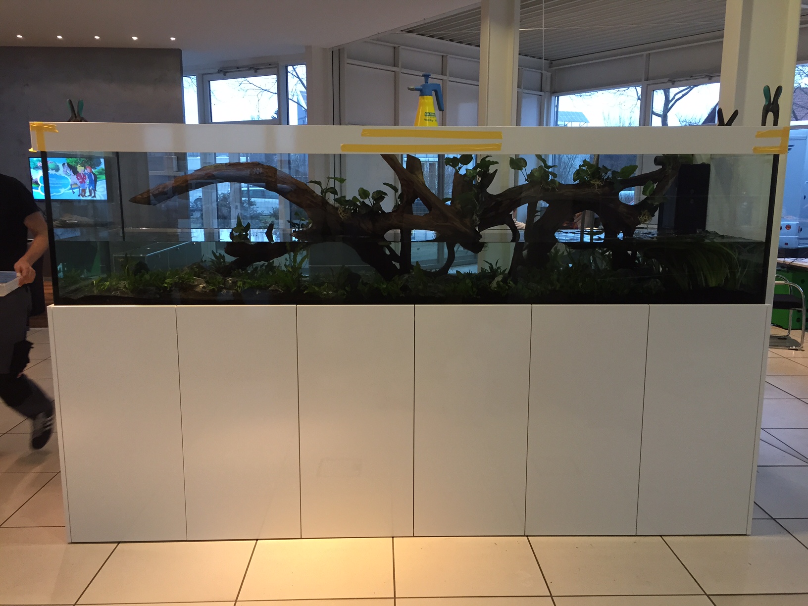 Aquarienbau