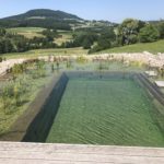 Teich Sanierung