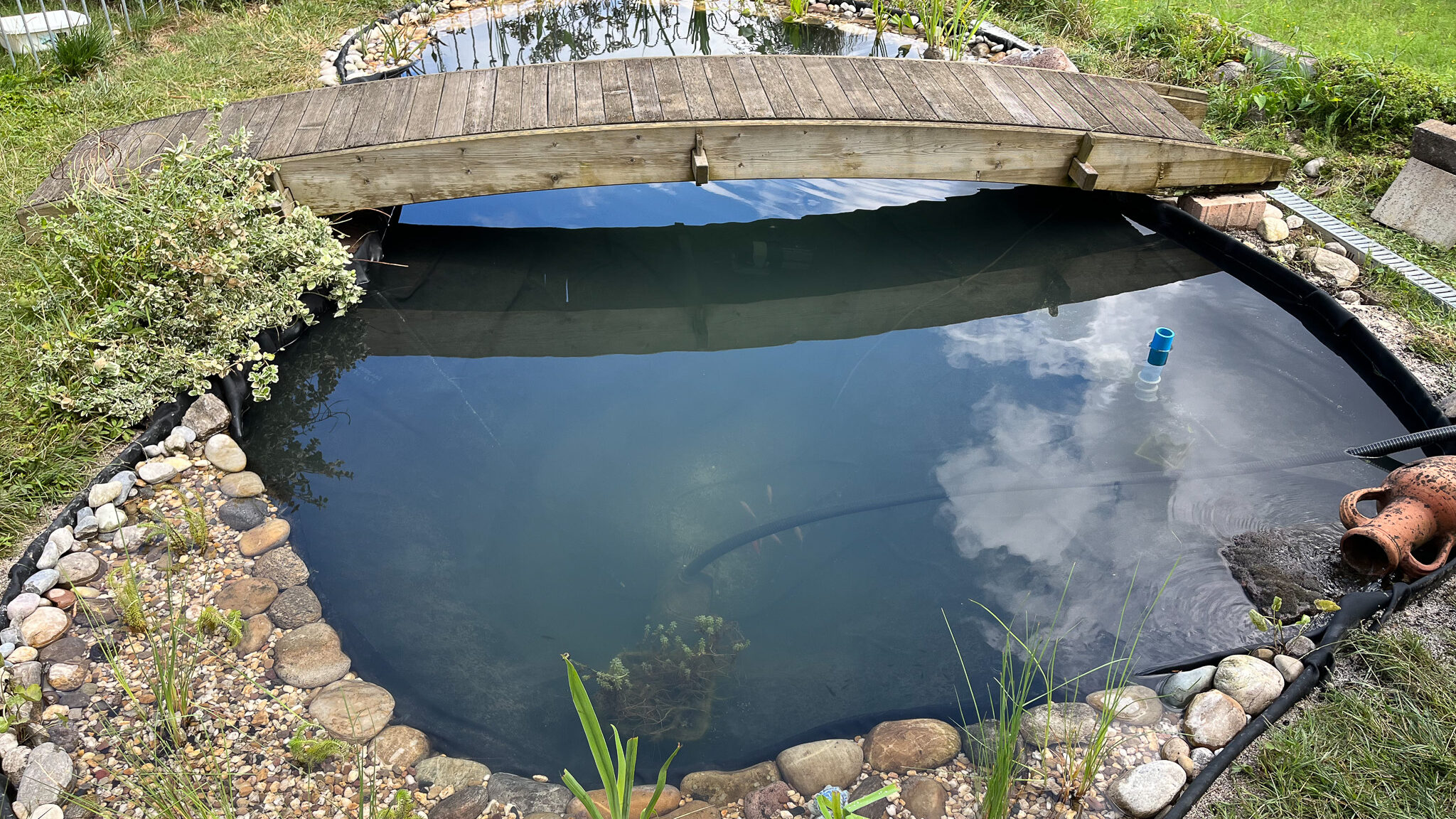 Naturteichsanierung