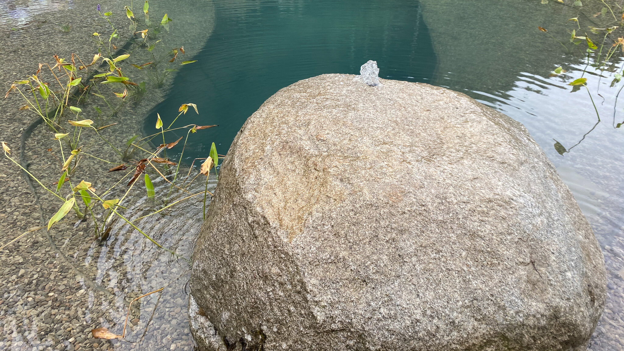 Schwimmteich