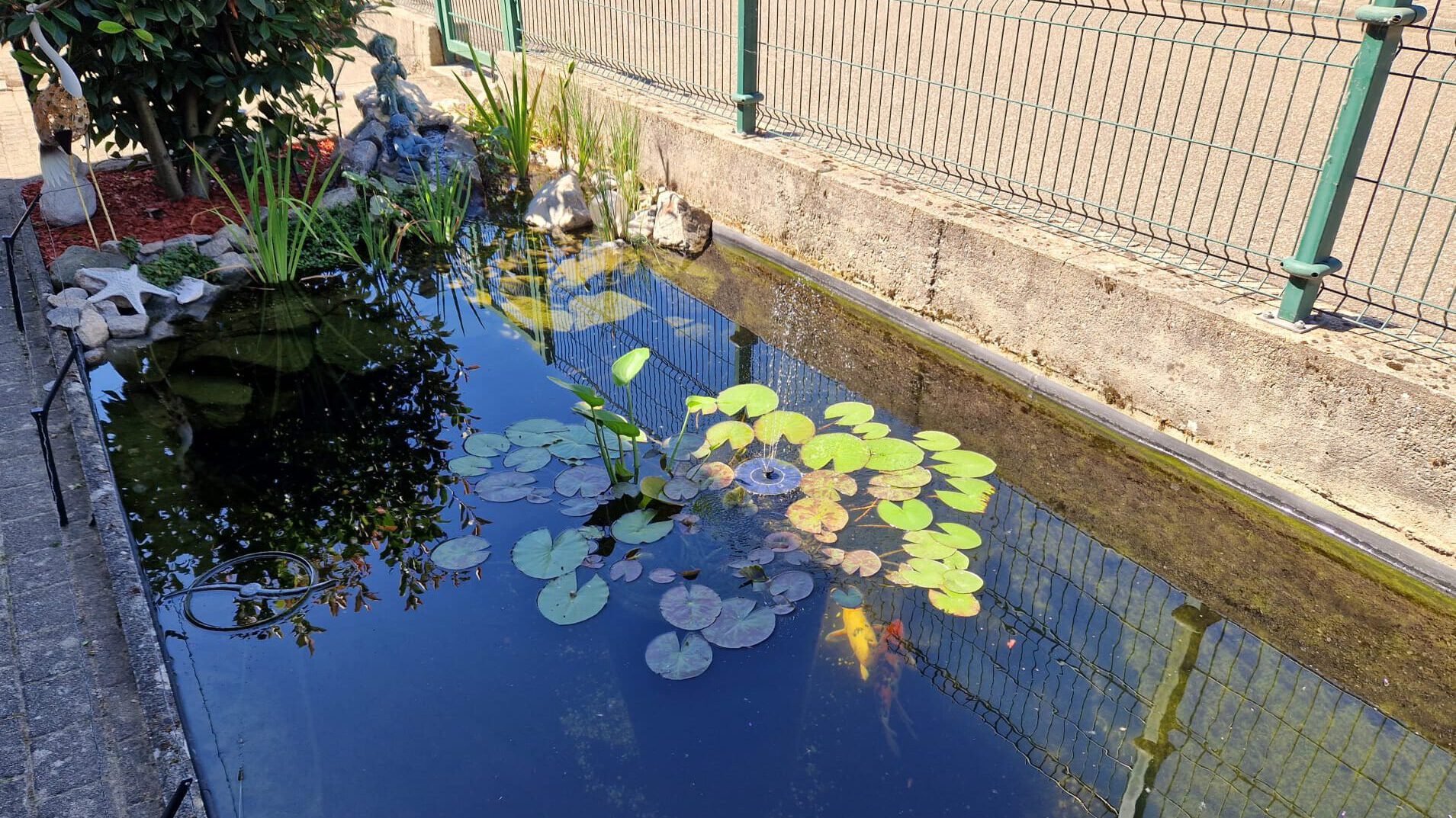 Kleine Koiteichsanierung