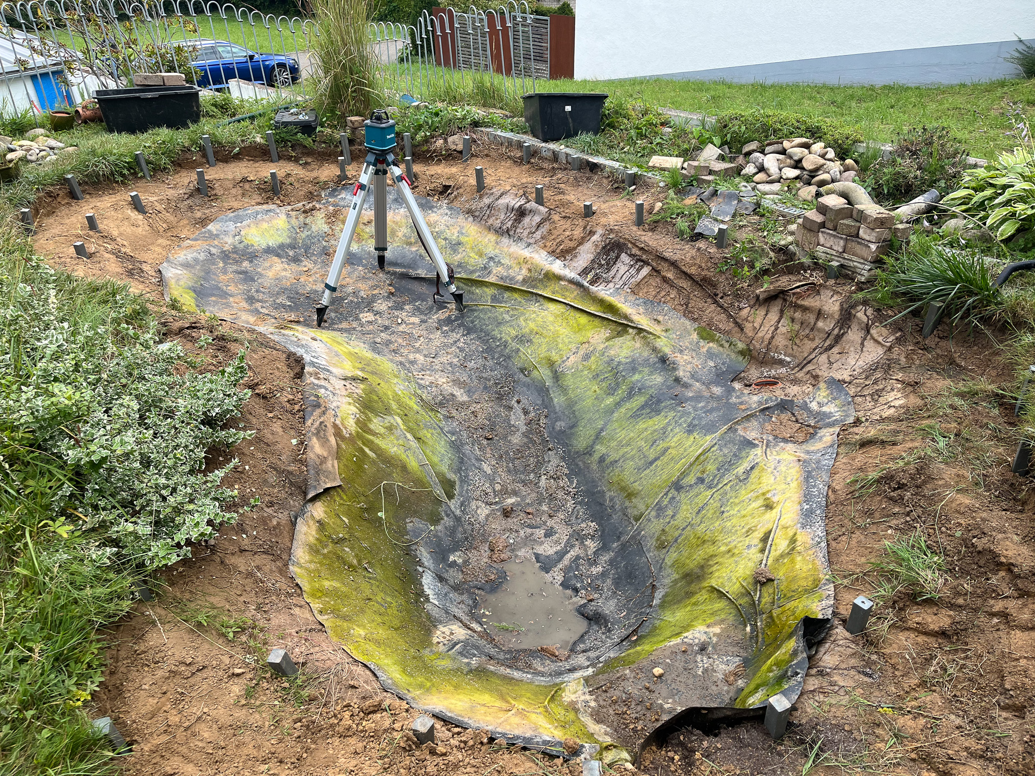 Naturteichsanierung